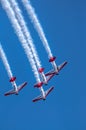 AeroShell aerobatic team airplanes Royalty Free Stock Photo